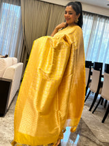 A Silk Brocade Story in Meenakari and Kaduwa Weave