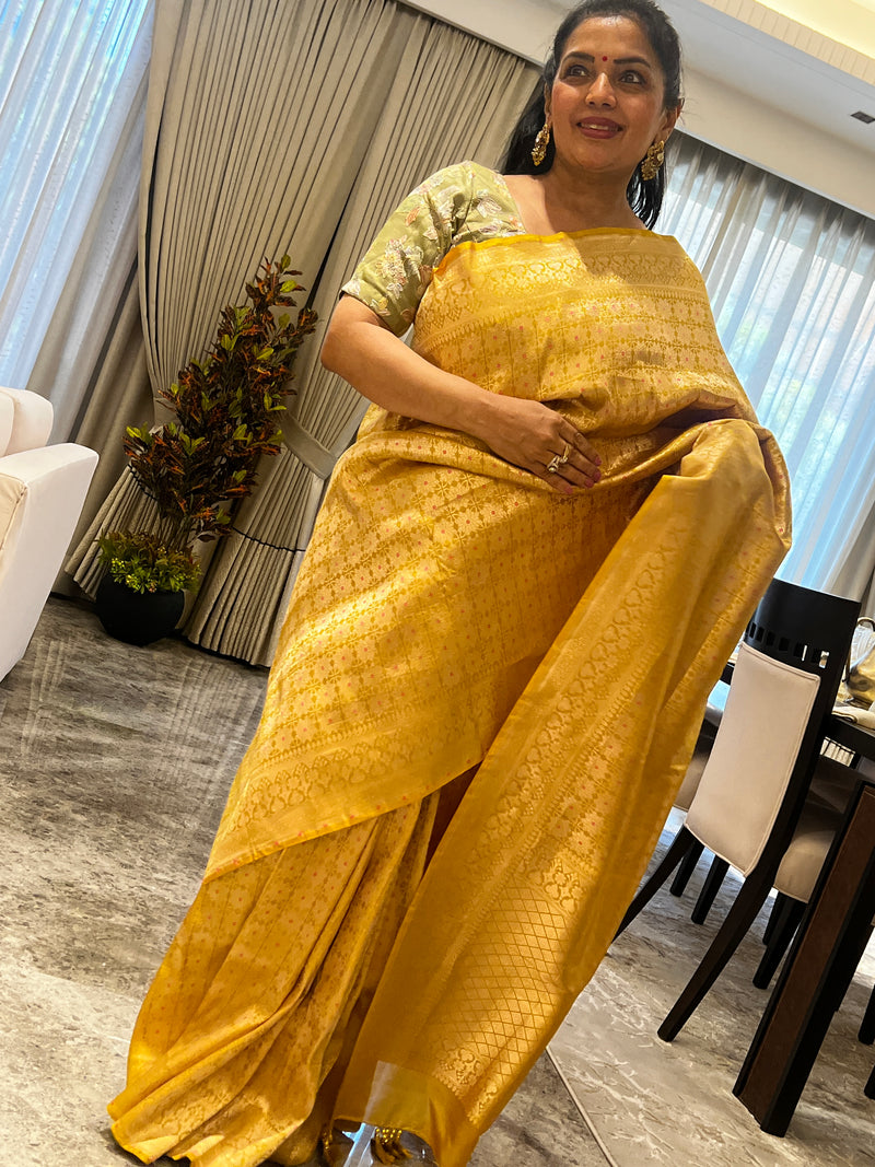 A Silk Brocade Story in Meenakari and Kaduwa Weave