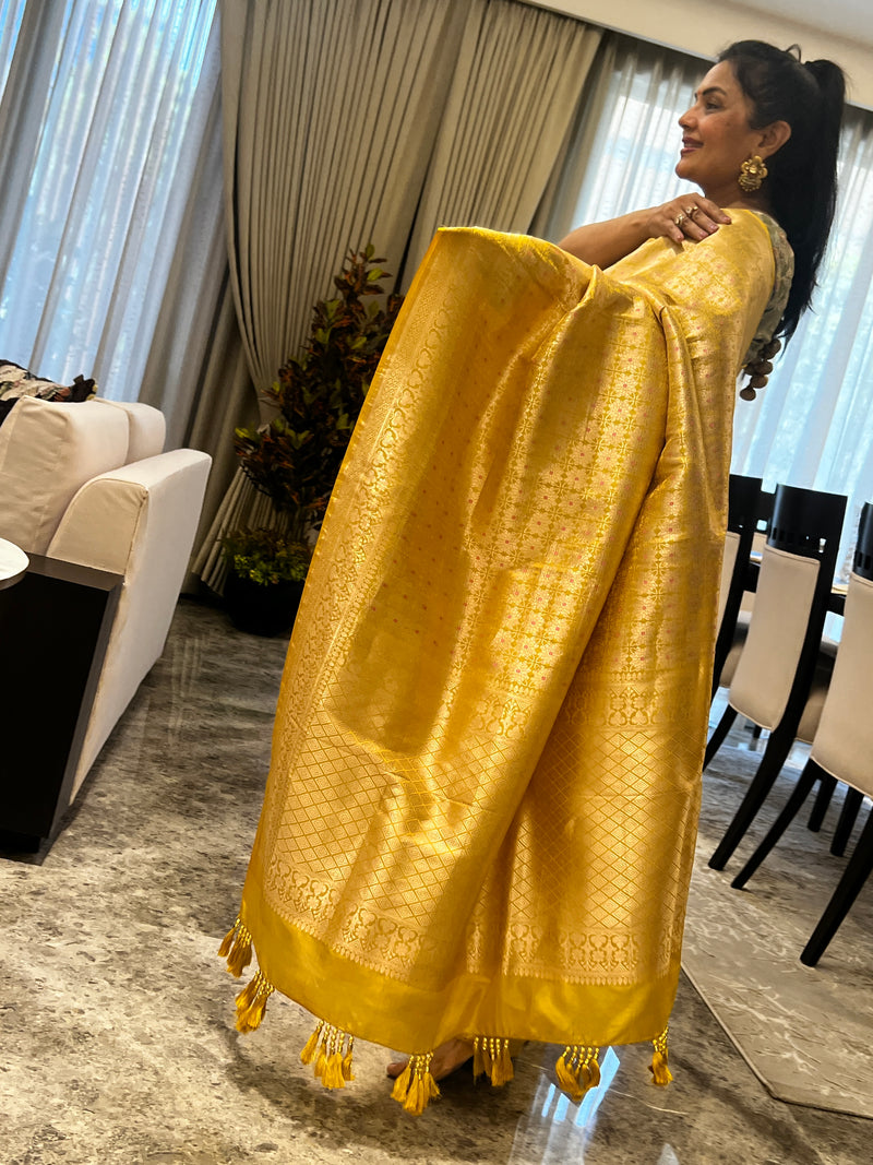 A Silk Brocade Story in Meenakari and Kaduwa Weave
