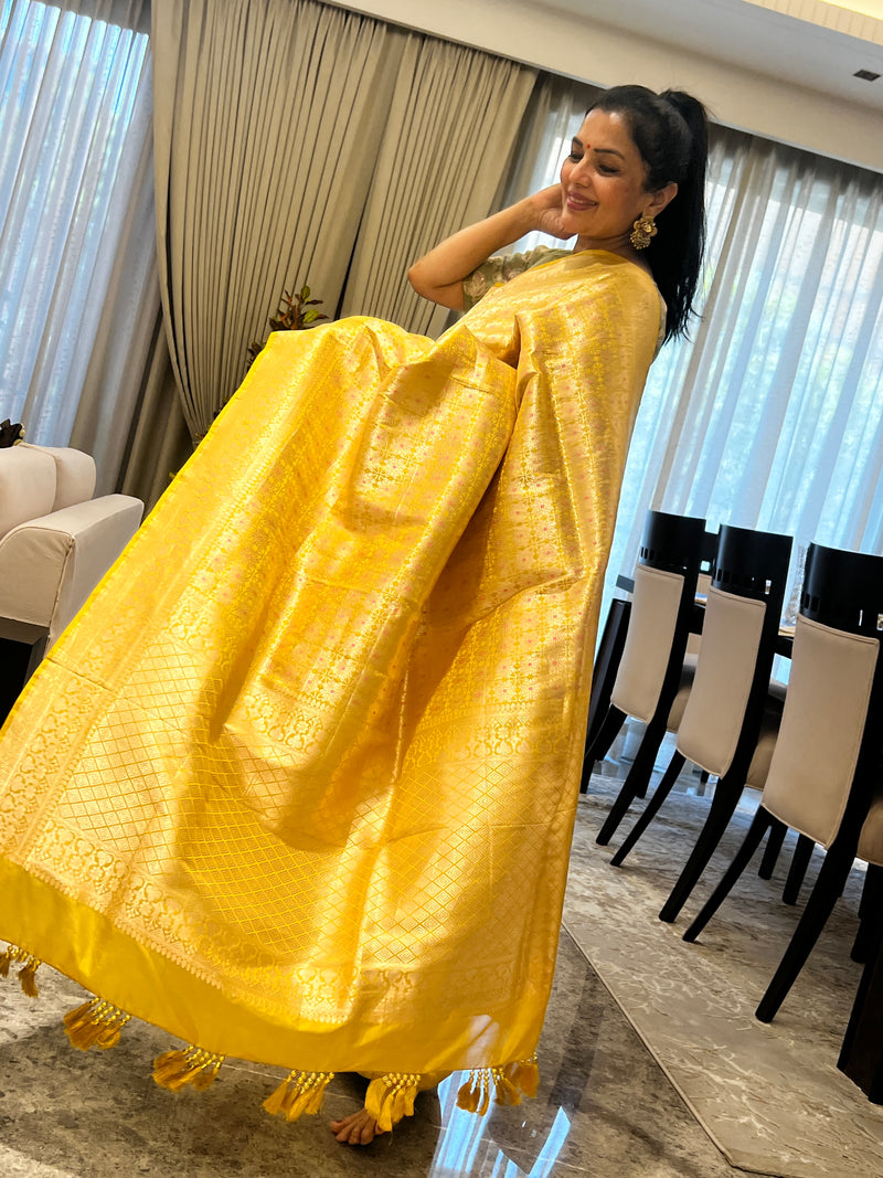 A Silk Brocade Story in Meenakari and Kaduwa Weave