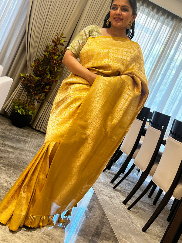 A Silk Brocade Story in Meenakari and Kaduwa Weave