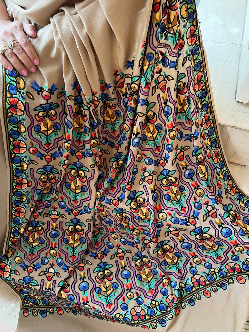 Kashmiri hand embroidered aari work saree
